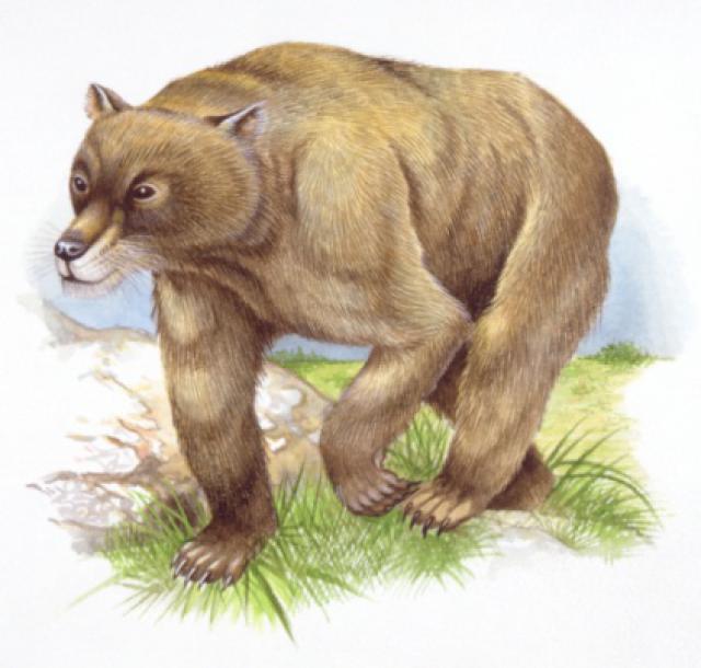 پستانداران غول پیکر