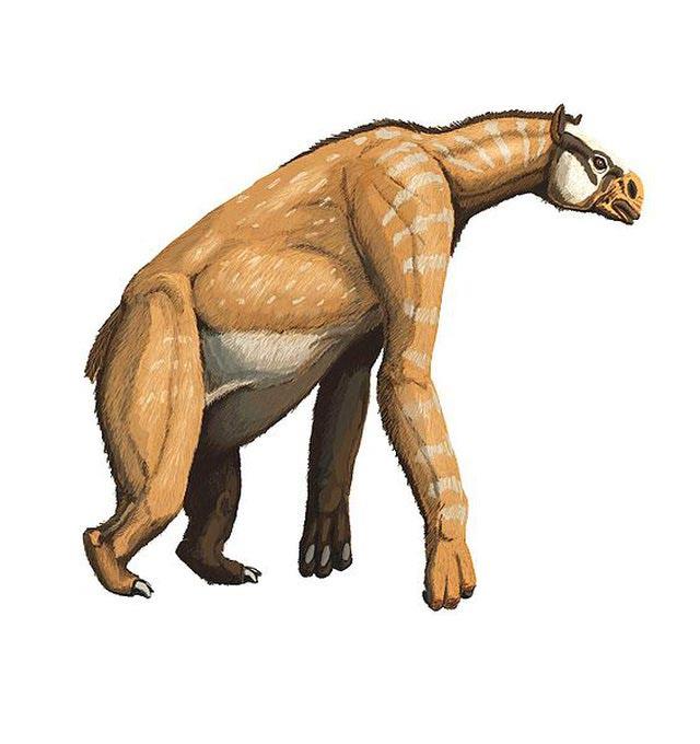 پستانداران غول پیکر