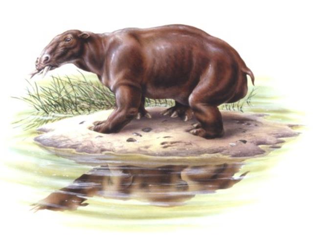 پستانداران غول پیکر