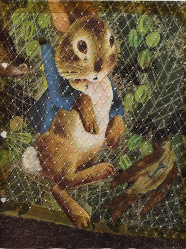 پیتر خرگوشه اثر بیترکس پاتر