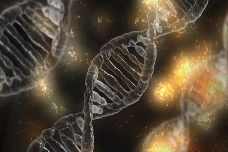 دانشمندان به بازنویسی کد ژنتیکی حیات نزدیک شده‌اند