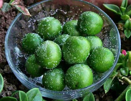 رنگ ها در میوه ها از چه سخن می گویند؟