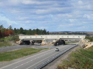 animal-bridges-wildlife-crossings-72-58aaacd3712cd__880-w900-h600