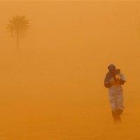 اختصاص 30 میلیارد تومان برای مقابله با گرد و خاک خوزستان