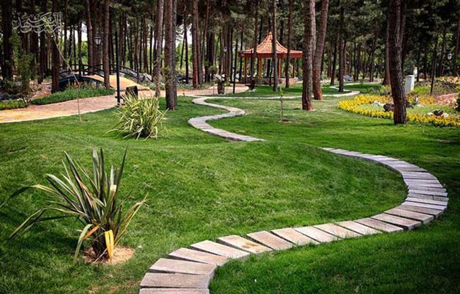باغ گیاه شناسی مشهد؛ بهشت گل‌های داوودی