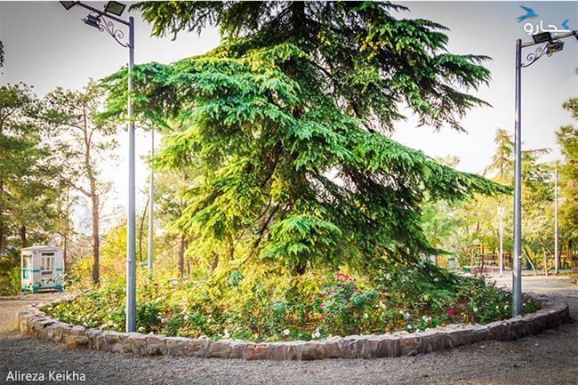 پارک طالقانی؛ گوهری از طبیعت زیبای پاییزی برای مردم پایتخت