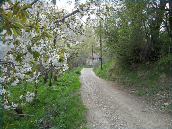 روستای برگ جهان؛ بهشتی در نزدیکی تهران