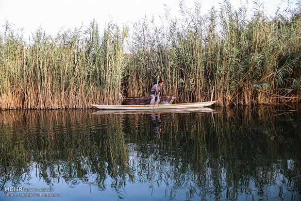 کارگاه مقدماتی روزنامه نگاری محیط زیست برگزار می شود