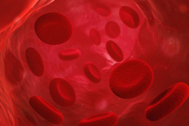 دانشمندان موفق به جوانسازی سلول‌های بنیادی خون‌ساز شدند