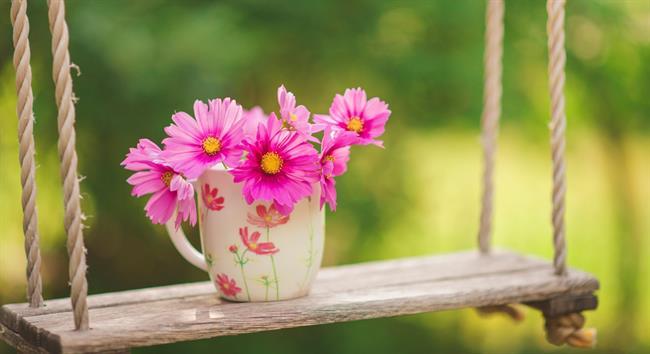برنامه ریزی برای یک عید به یاد ماندنی