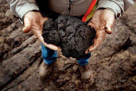بلومبرگ: شرکت شل طرح استخراج از ماسه های نفتی کانادا را رها کرد