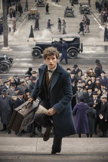 Fantastic Beasts and Where to Find Them (2016)