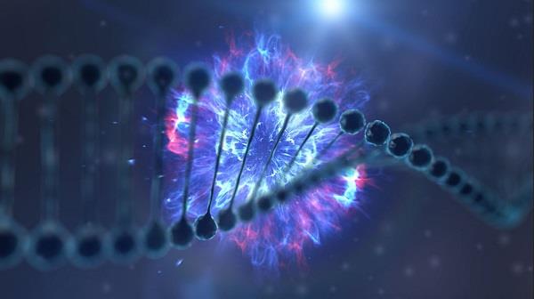 احتمالاً در آینده از DNA برای ساخت هارد دیسک ها استفاده می شود