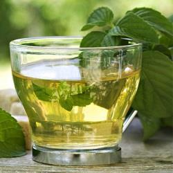تاثیر چای سبز در پیشگیری از سرطان پانکراس
