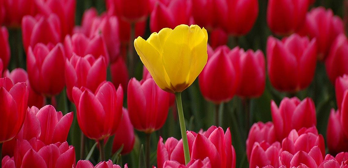 چگونه خاص باشیم؛ نکاتی که شما را برجسته و متفاوت نشان می‌دهد