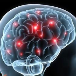 مشاهده فعالیت مغز تا 10 دقیقه بعد از مرگ!