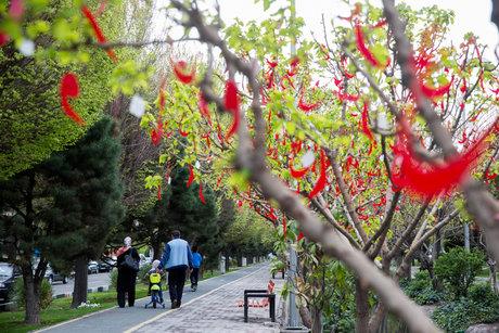 برگزاری تورهای رایگان گردشگری ویژه خانواده‌های کم برخوردار تهران