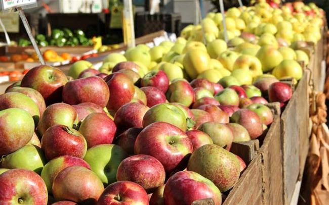 سیب در میان میوه های لاغر کننده