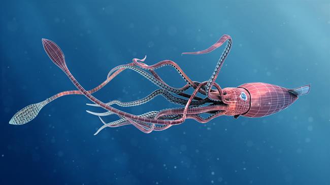 matt-stewart-squid-1-wires