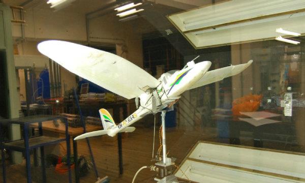 ساخت اولین پهپادی که مشابه با یک پرنده واقعی پرواز کرده و فرود می آید