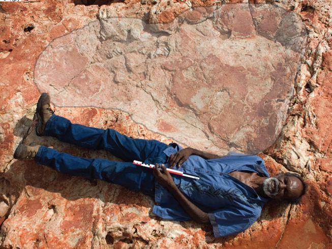کشف بزرگترین ردپای متعلق به دایناسور ها در قاره استرالیا [تماشا کنید]