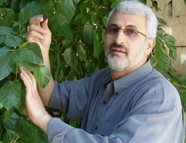 شهید حسن شاطری