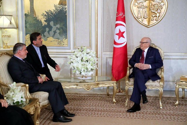 وزیر فرهنگ با رئیس‌جمهور تونس دیدار کرد