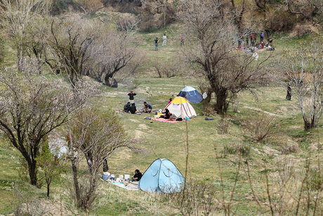 آمادگی بوستان‌های قلب پایتخت برای پذیرایی از شهروندان در روز طبیعت
