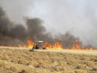 فائو: درگیری‌‌ها بیش از 16 میلیارد دلار خسارت بر بخش کشاورزی سوریه تحمیل کرده است
