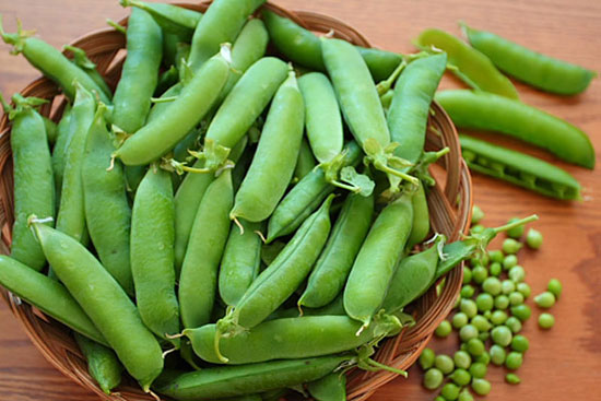 دیابتی ها کدام غذاها را در بهار بیشتر مصرف کنند؟ دیابتی ها کدام غذاها را در بهار بیشتر مصرف کنند؟