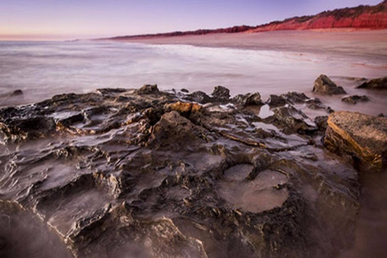 dinosaurs footprint in australia