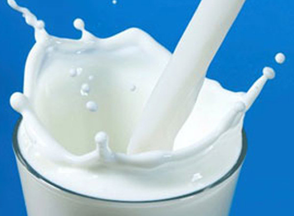 آخرین وضعیت خرید توافقی شیرخام/50 درصد مطالبات دامداران تسویه شد