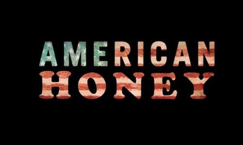 american honey