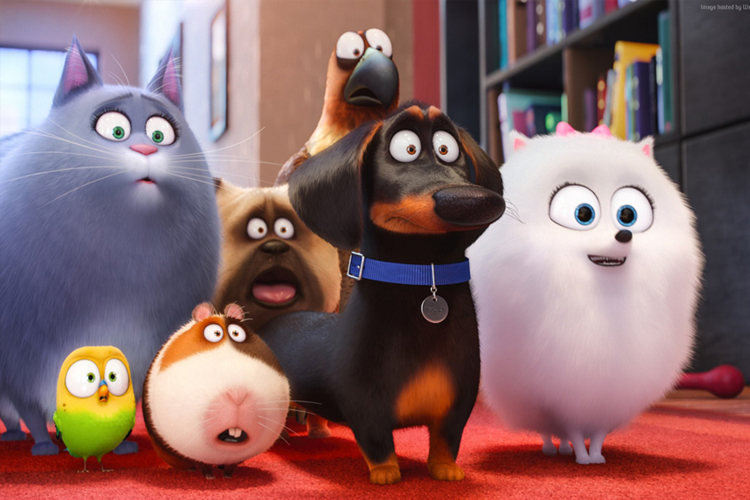 نقد انیمیشن The Secret Life of Pets - زندگی مخفی حیوانات خانگی