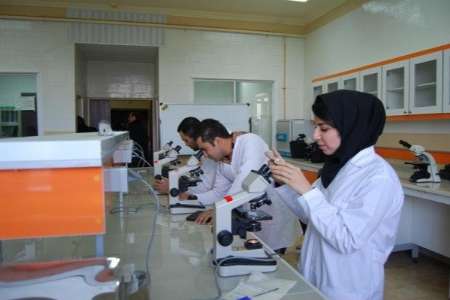 تاکید وزیرعلوم بر آموزش مهارتهای تخصصی آزمایشگاهی