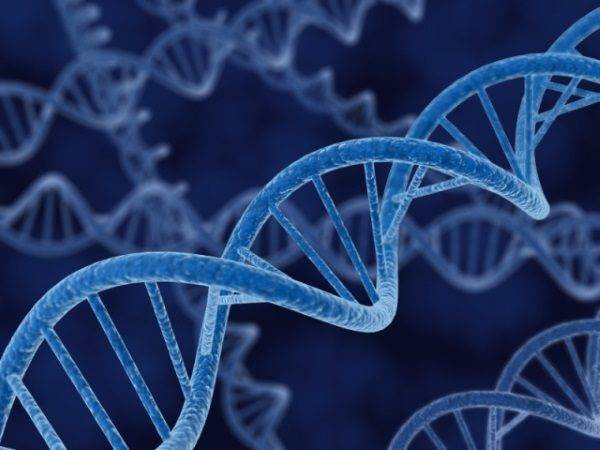 دانشمندان از پیوندهای ژنی نامتعارف برای حمله به سلول های سرطانی بهره گرفتند