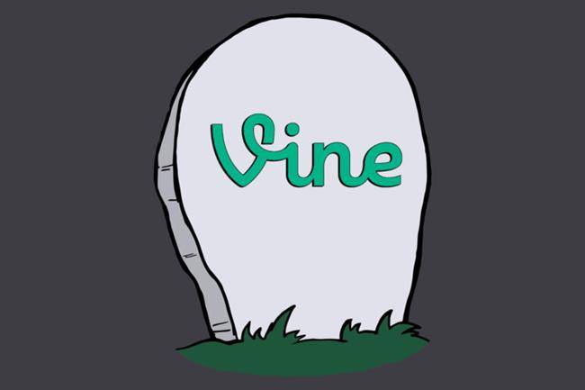 Vine