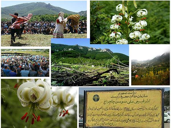 چراغانی طبیعت در جشن گل‌دهی/داماش به استقبال «سوسن چلچراغ» می‌رود