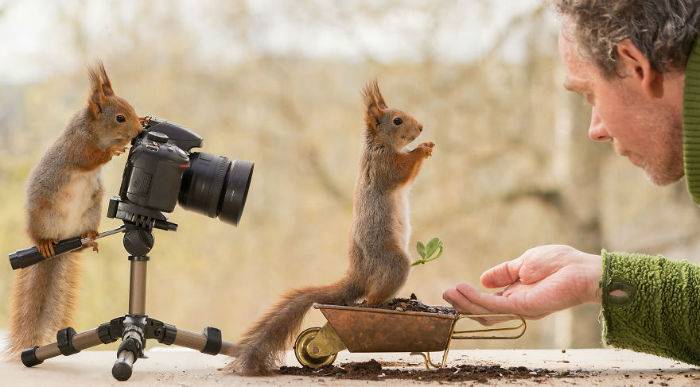 مجموعه تصاویری هیجان انگیز از سنجاب هایی که دست به دوربین عکاس خود برده اند