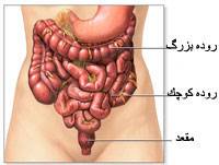 نفخ و گاز روده ای : نکات و روش درمان