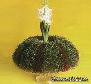 روش کاشت و تزئین سبزه عید با دو رنگ متفاوت