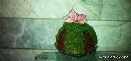 طرز کاشت سبزه عید دو رنگ سبزه عید دو رنگ
