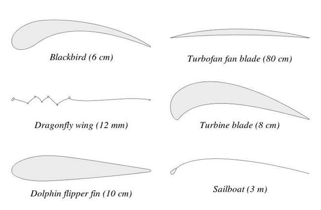 Examples of Airfoils