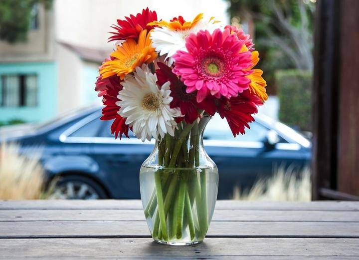 10 روش ساده برای تازه نگه داشتن گل ها