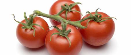 خواص گوجه فرنگی : فواید شگفت انگیز