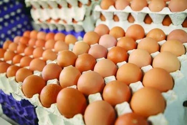صادرات تخم مرغ ازسر گرفته شد/ افزایش قیمت مقطعی است