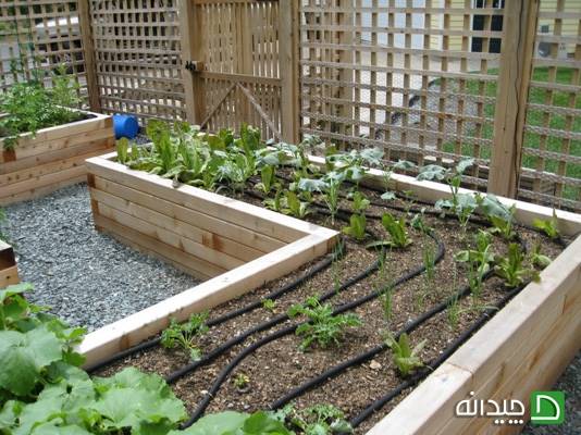 سیستم آبیاری قطره ای استفاده شده در باغچه های خانگی