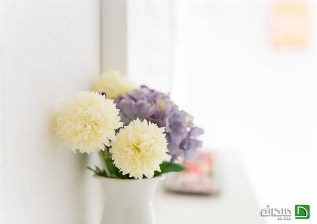 استفاده از گلدان های طبیعی در دکوراسیون داخلی خانه 