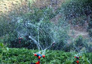 استفاده از 426 مخزن ذخیره آب برای آبیاری درختان