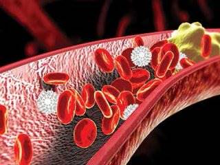 روش‌های کاهش کلسترول خون (2)